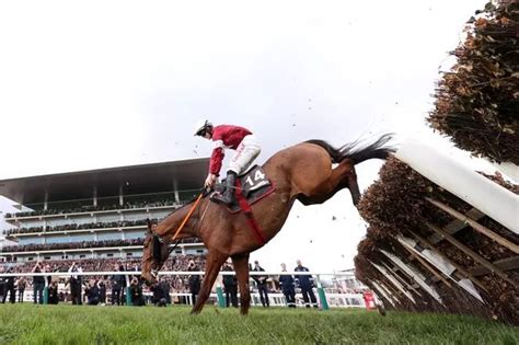 Cheltenham Festival Tips: Our top tipsters best bets across.
